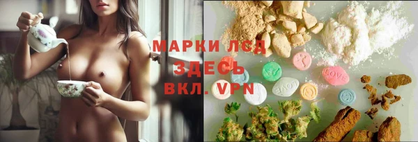 индика Лагань
