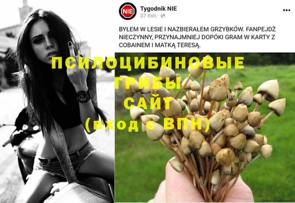 тгк Лагань