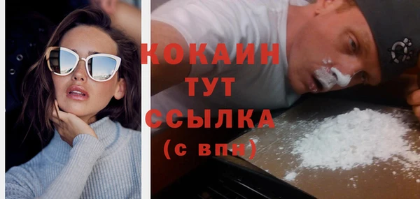 индика Лагань