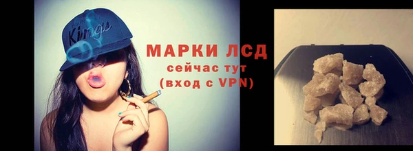 индика Лагань
