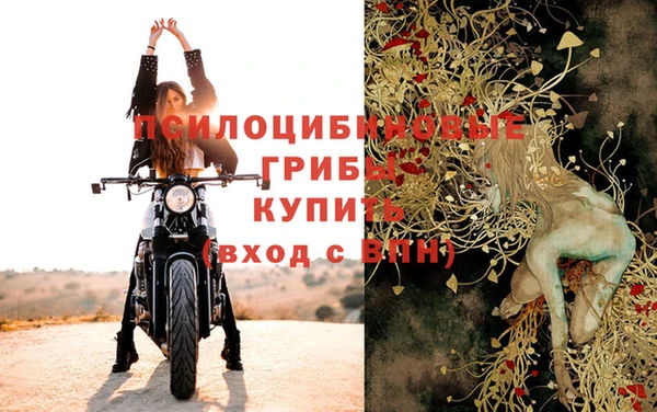 индика Лагань